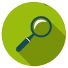 it project inspection